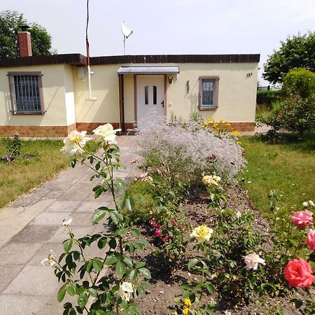Ferienhaus Kaiserfelder Olbersdorf エクステリア 写真